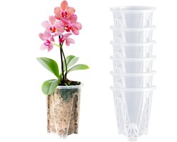 Transparante bloempotten voor orchideeën en vetplanten