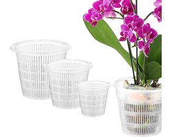 Transparante potten voor orchideeën & aroids