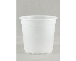 Transparante orchideeënpotten 10x Ø6 cm