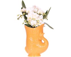 Nazaré Witte Orchidee in Oranje Fish Pot
