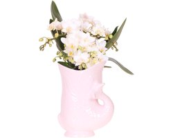 Nazaré witte orchidee in roze Fish Pot