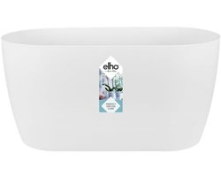 Ovale witte bloempot voor 2 orchideeën